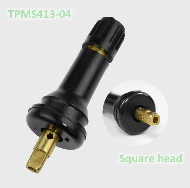 TPMS snap in valve