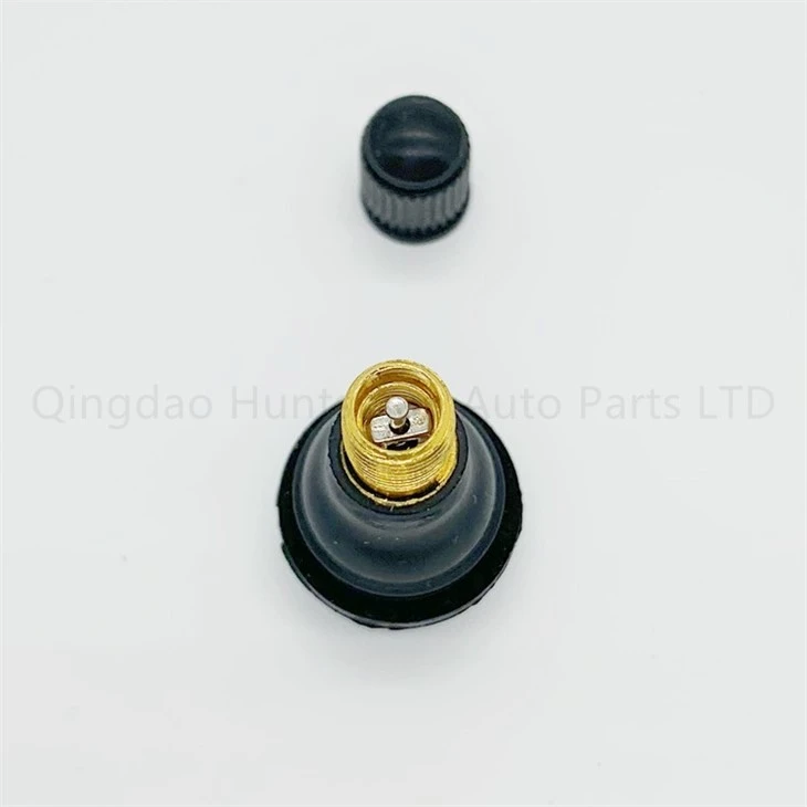 TR413 tyre Valve