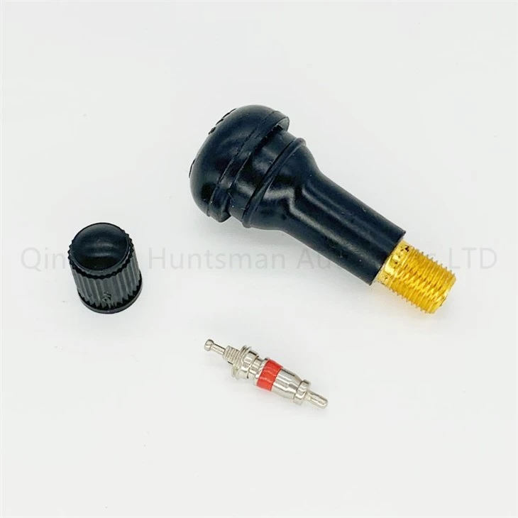 Tr413 Tire Valve